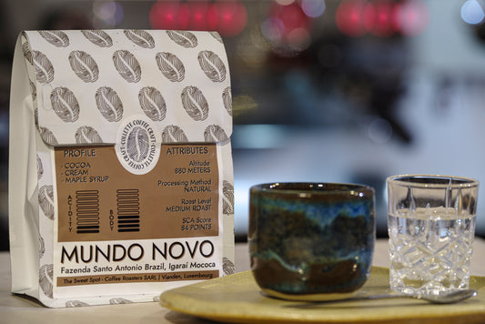 Mundo Novo - Brazil